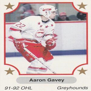 Aaron Gavey (Sault Ste. Marie) Vintage 91-92 OHL Hockey Card - Card Number 316